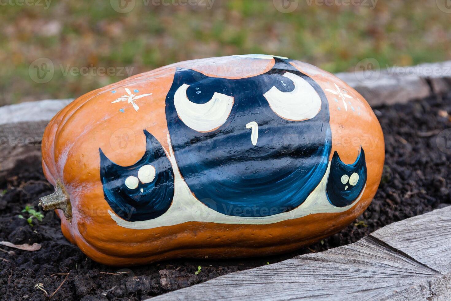Beautiful pumpkins for halloween close up photo