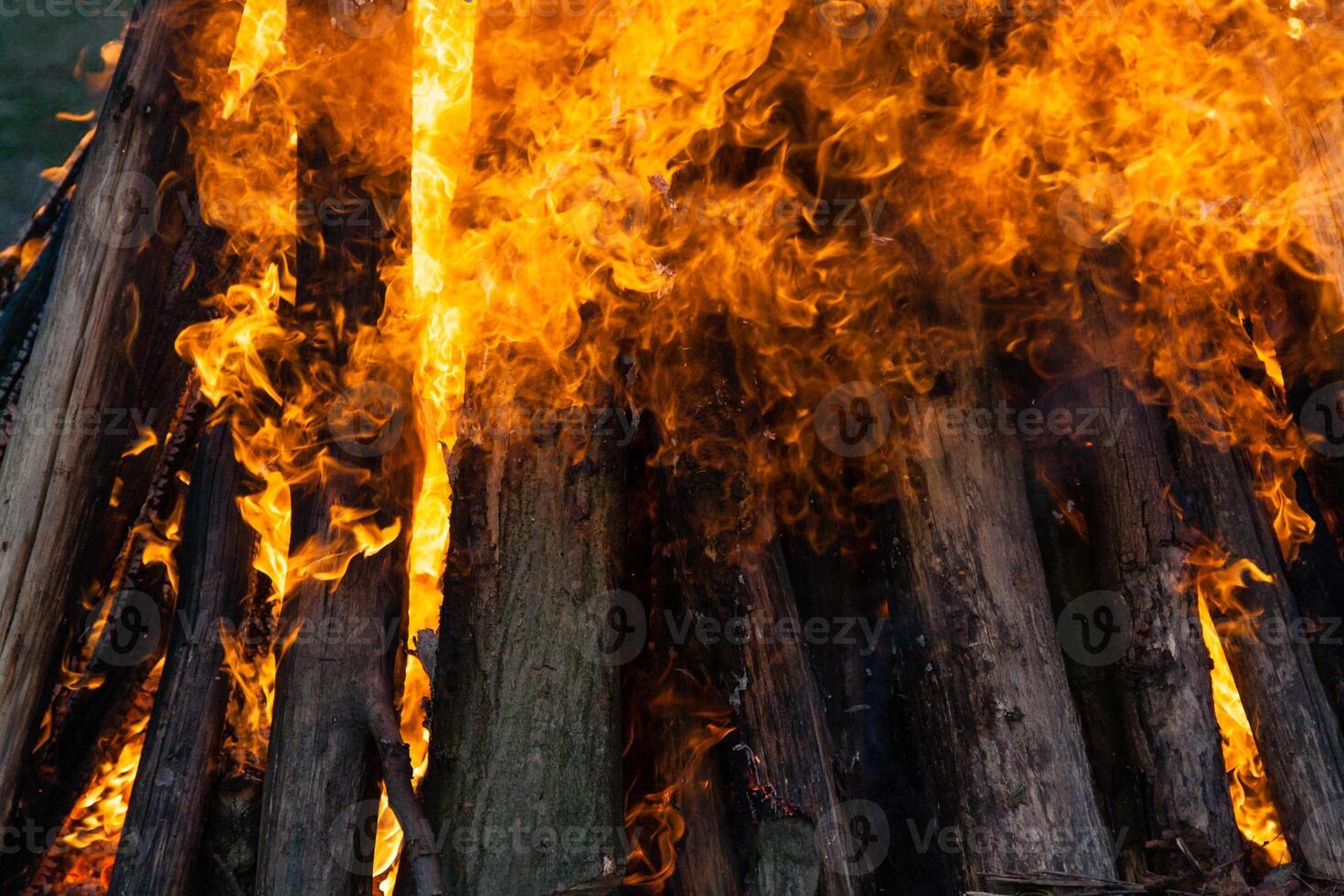 fire flames on a campfire close up photo