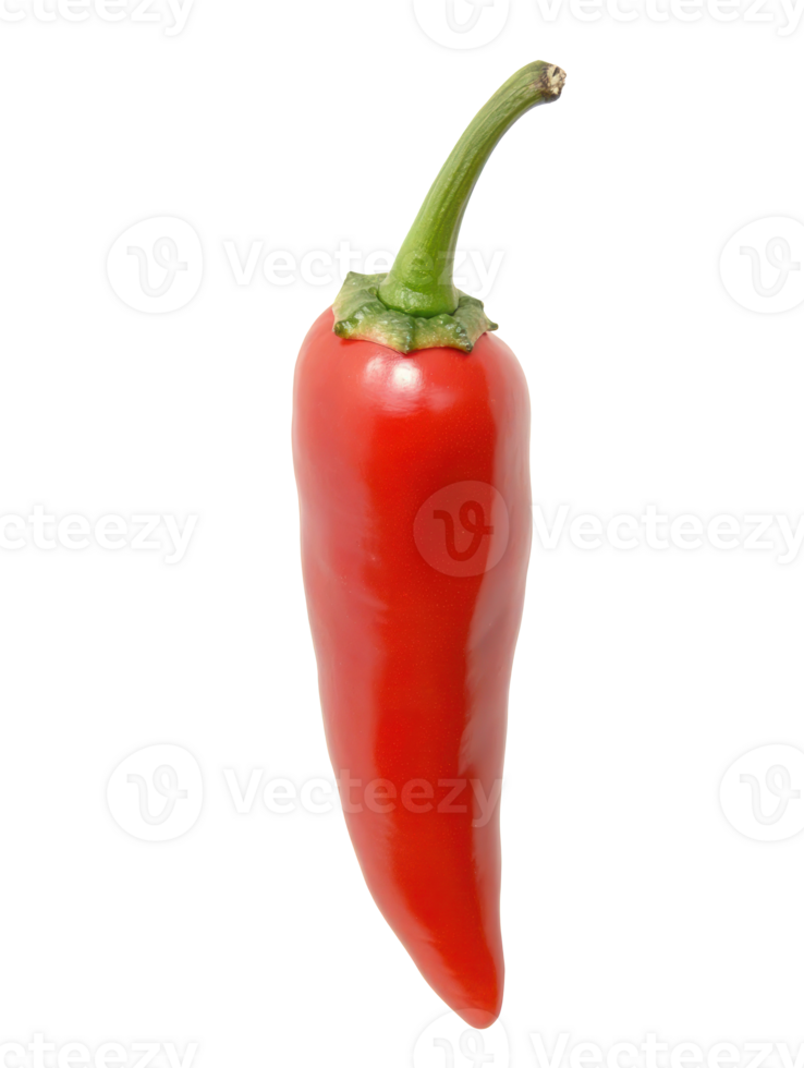 Red Chili Pepper Isolated png