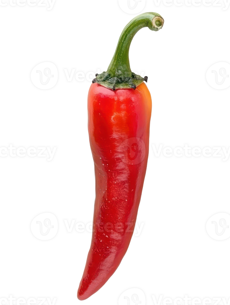 Spicy Red Chili Pepper Isolated png
