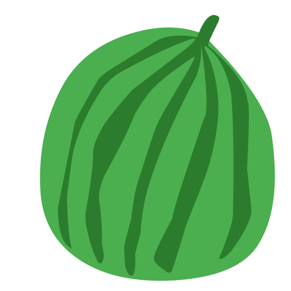 watermelon fresh fruit png