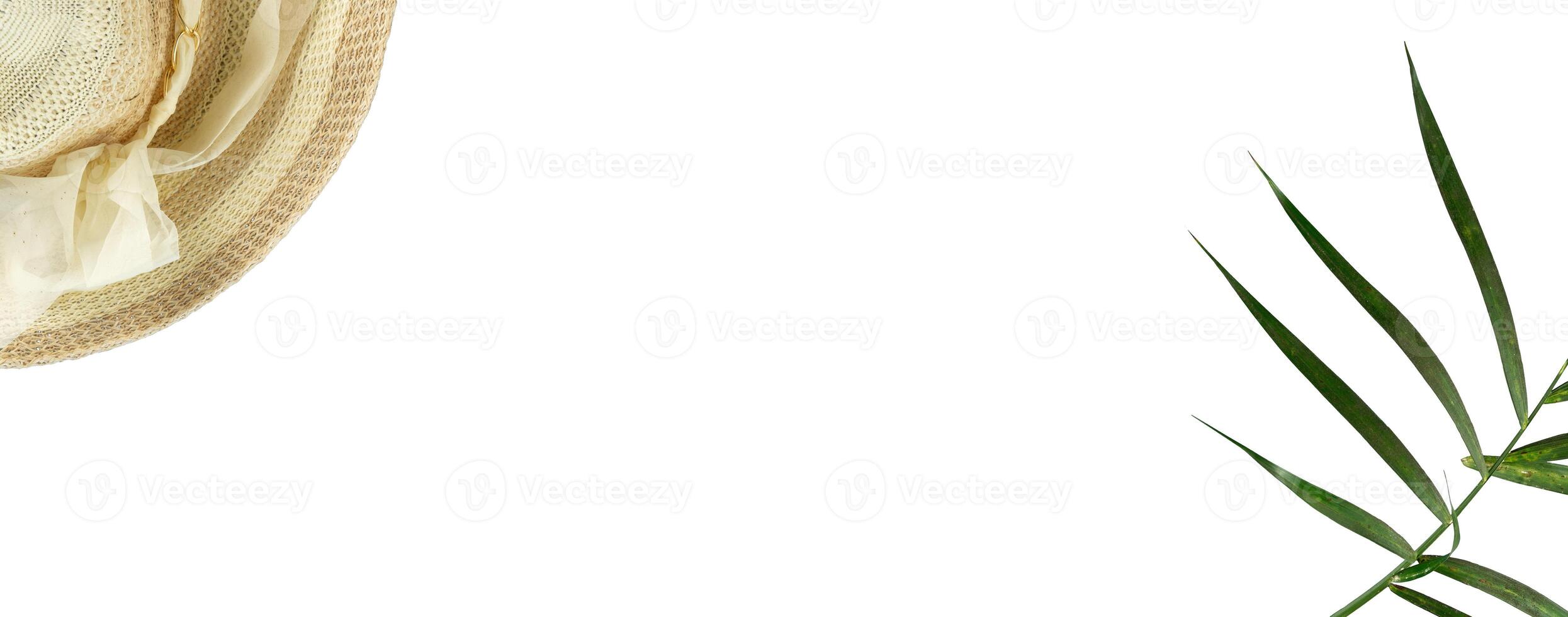 Leaves and hats for banner decoration photo