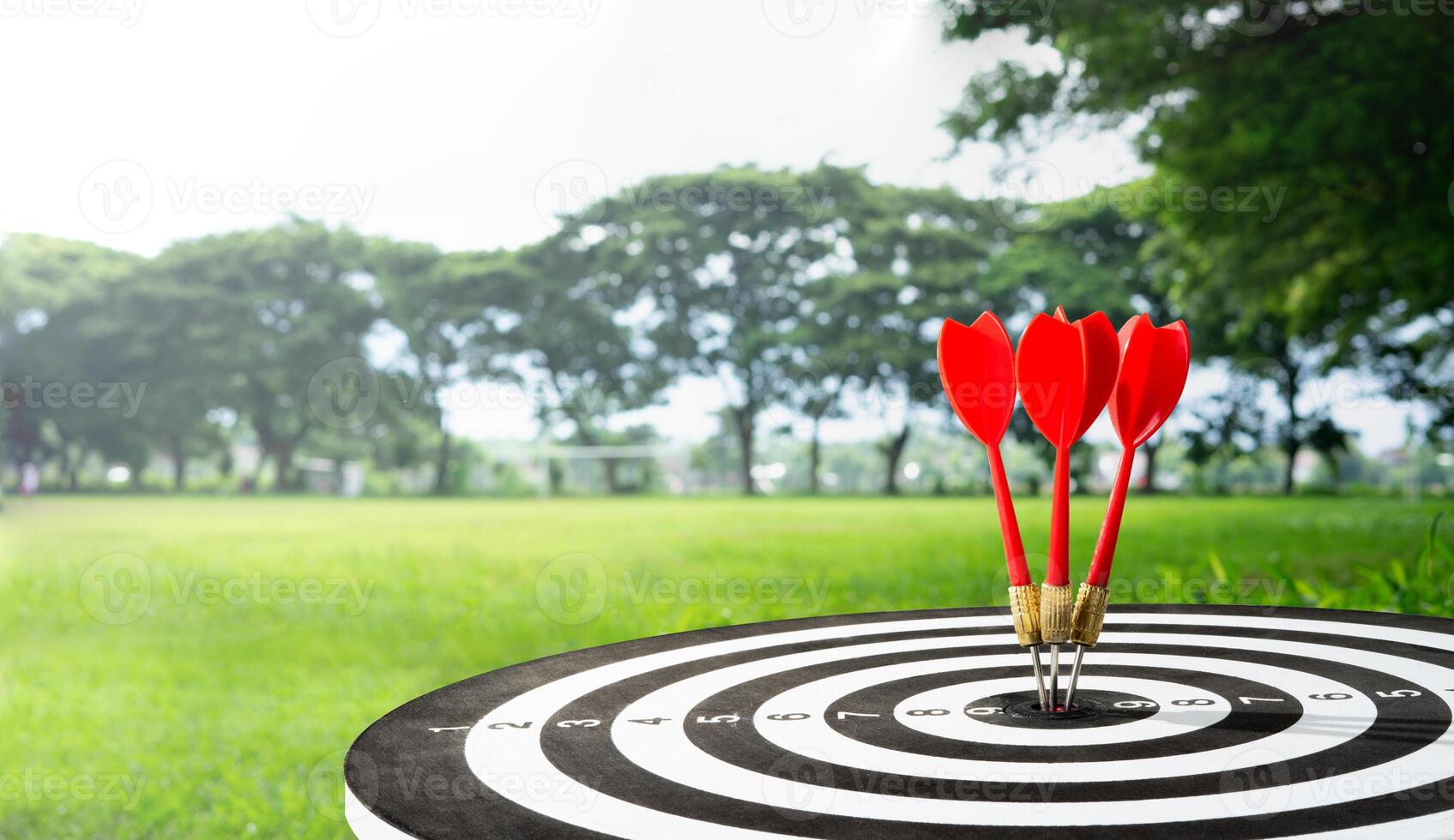 three dart on target with field background photo