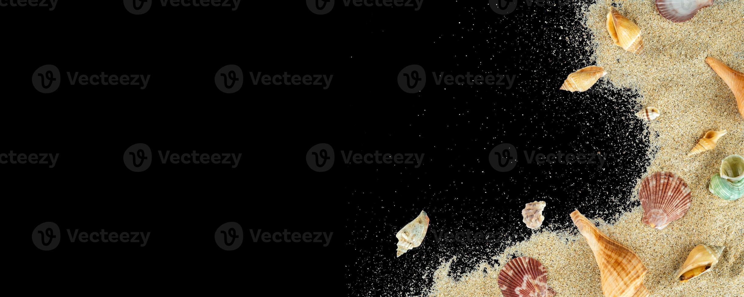 Black background copy space with shell decoration photo