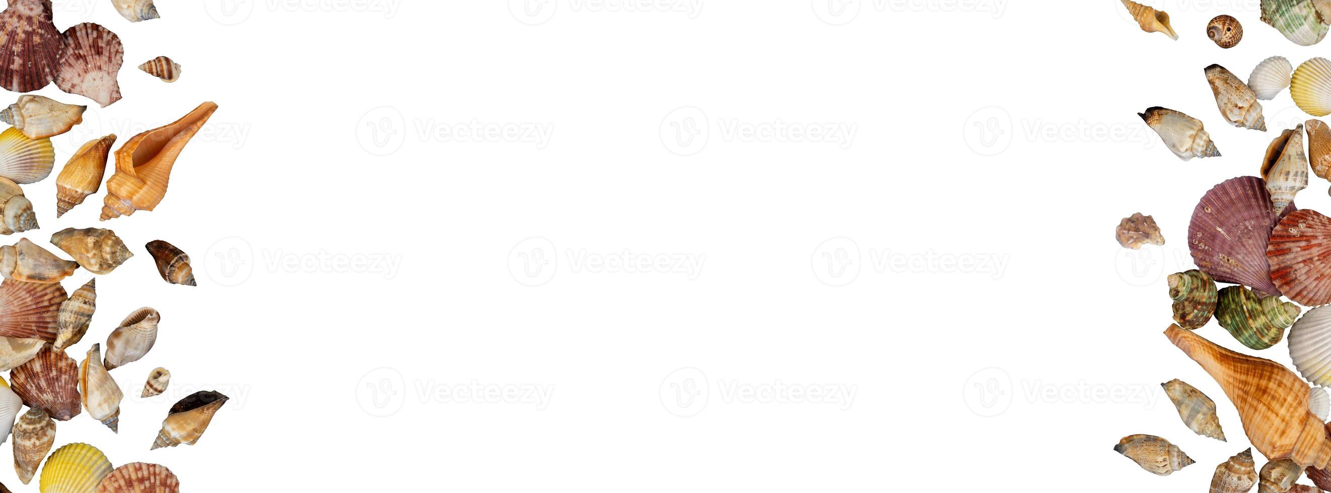 Holiday copy space background with shell ornament photo