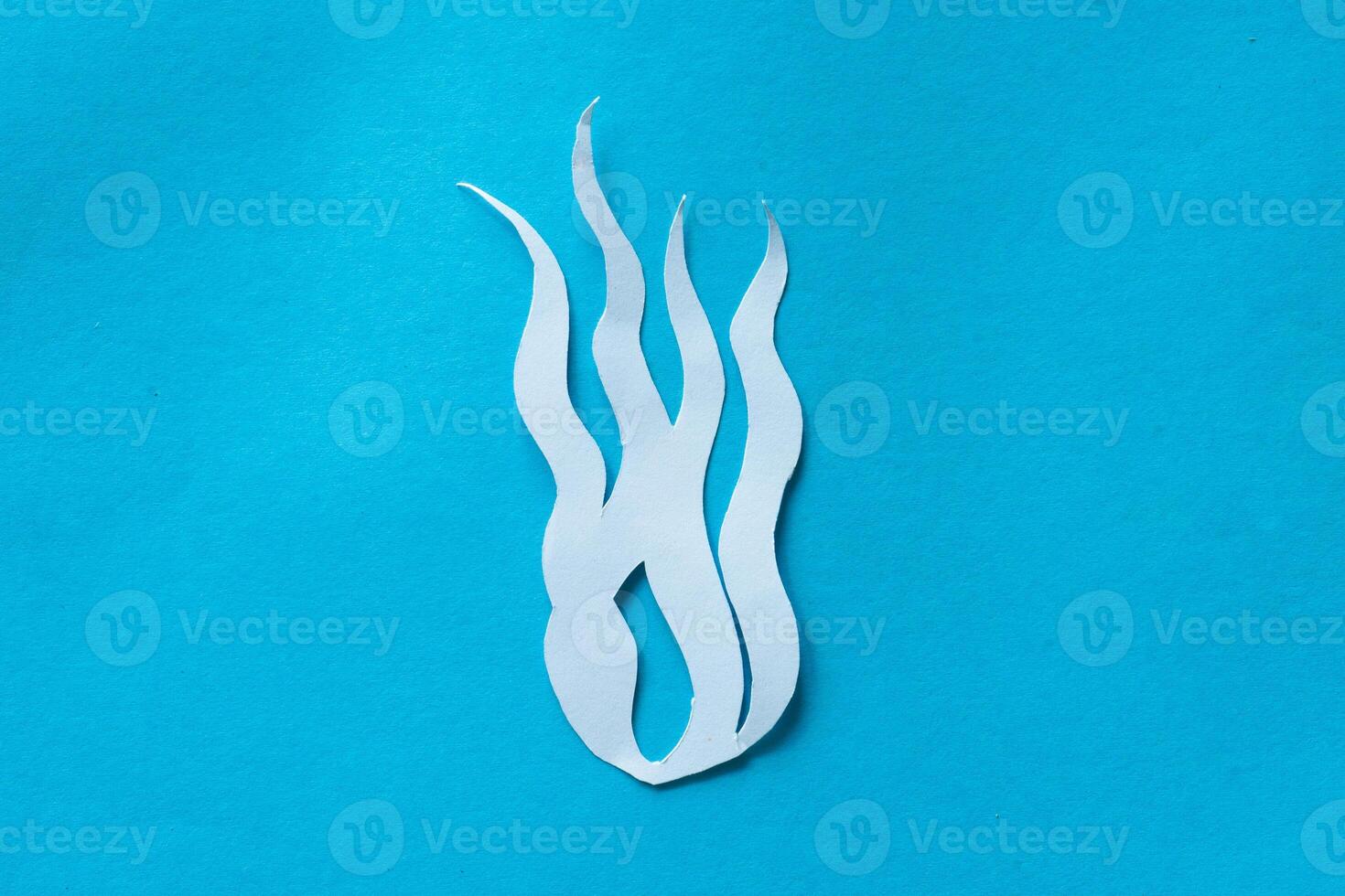 Seaweed in paper cut out craft photo