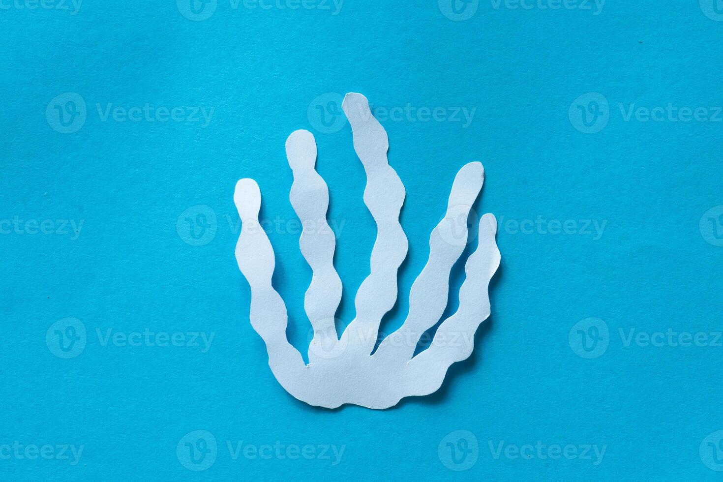 Coral in paper cut out craft photo