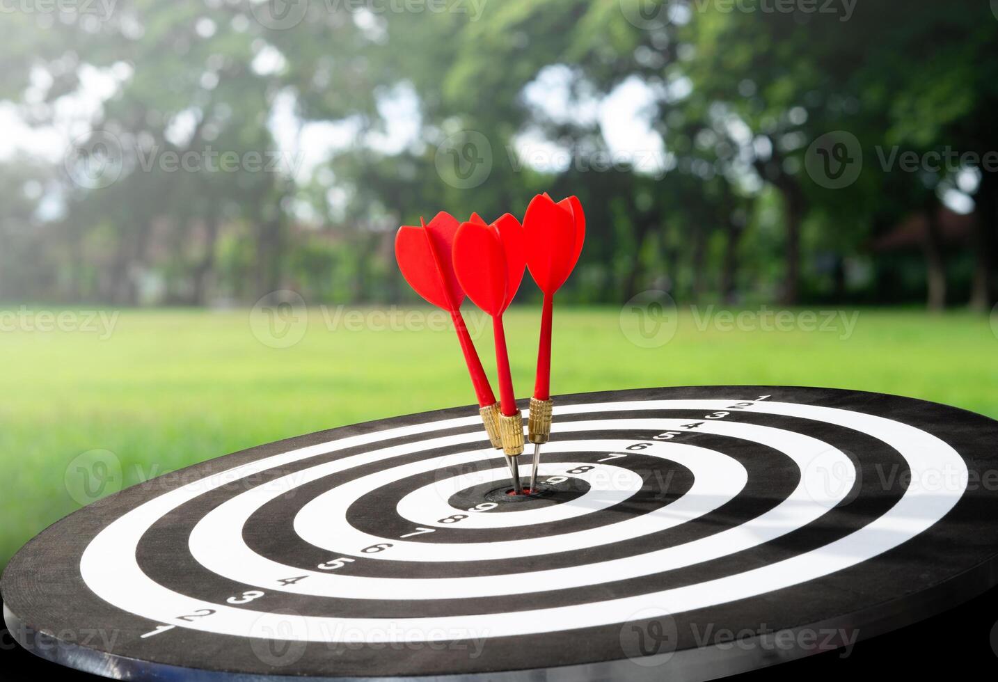 Tree arrow stuck on board with field background photo