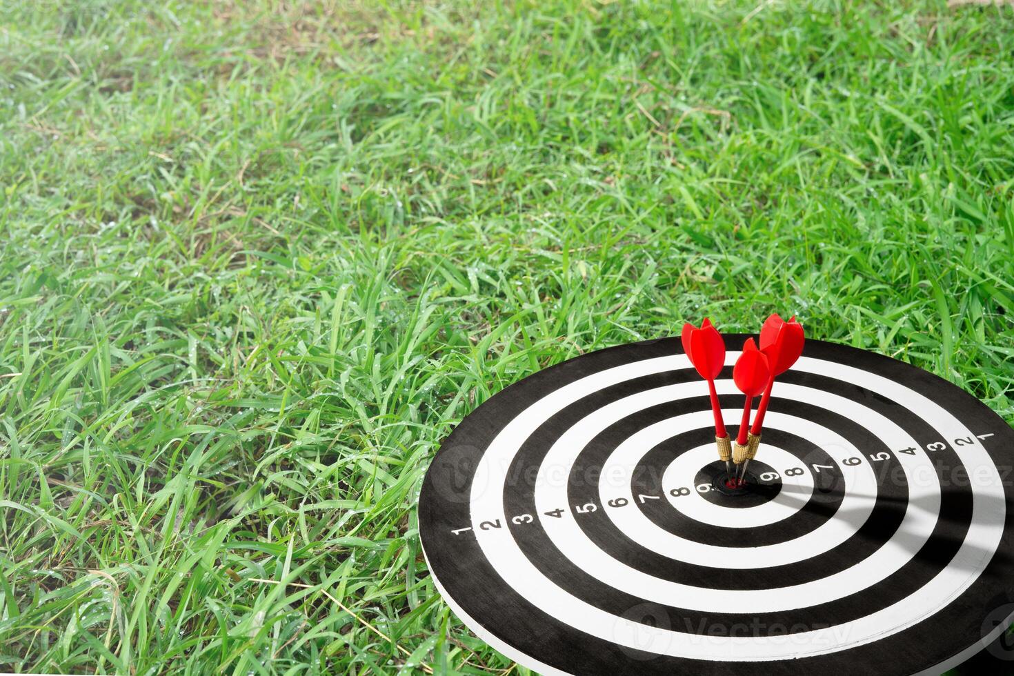 Three arrow on target with grass background photo