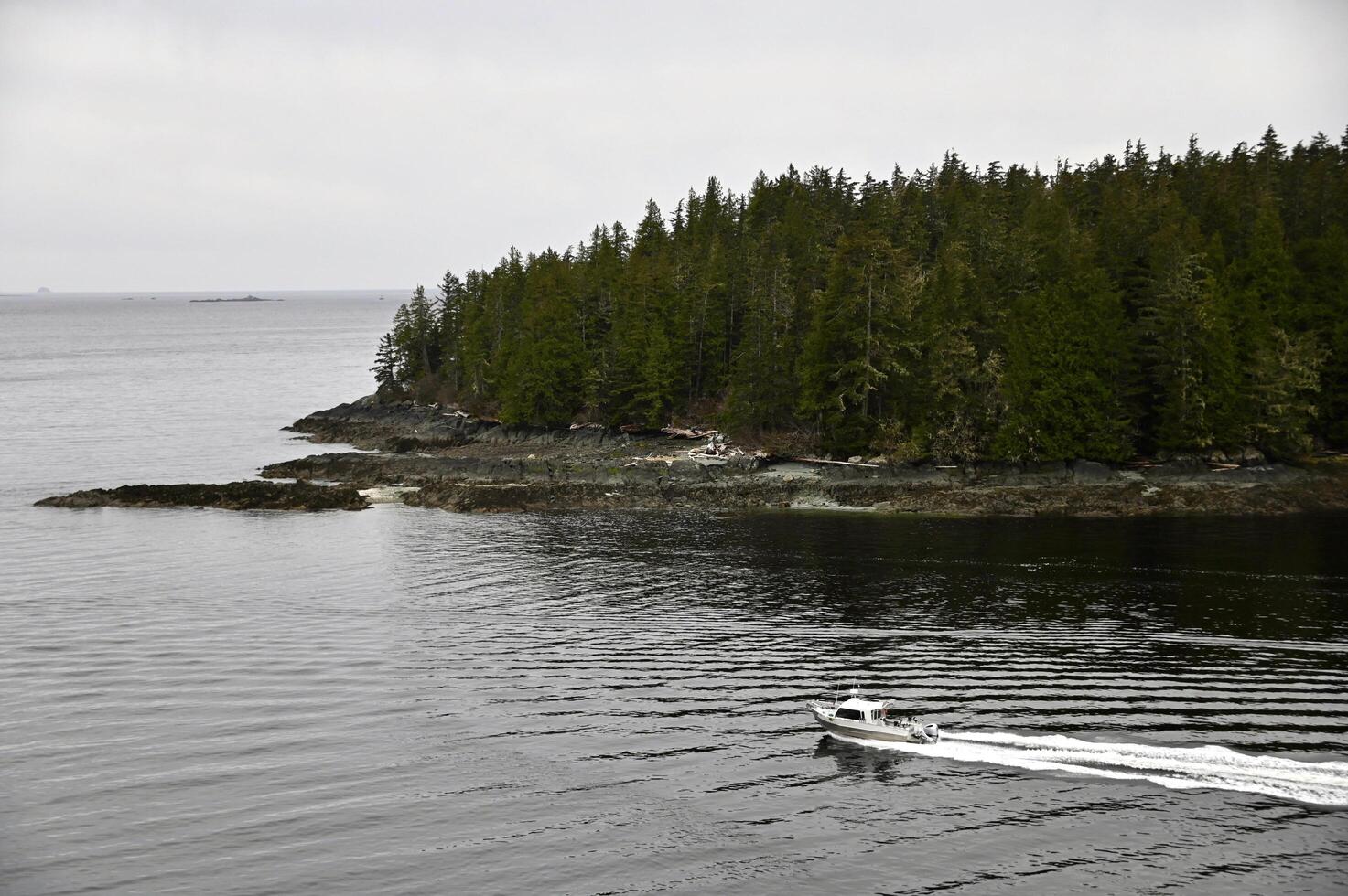 a small boat going to sea photo