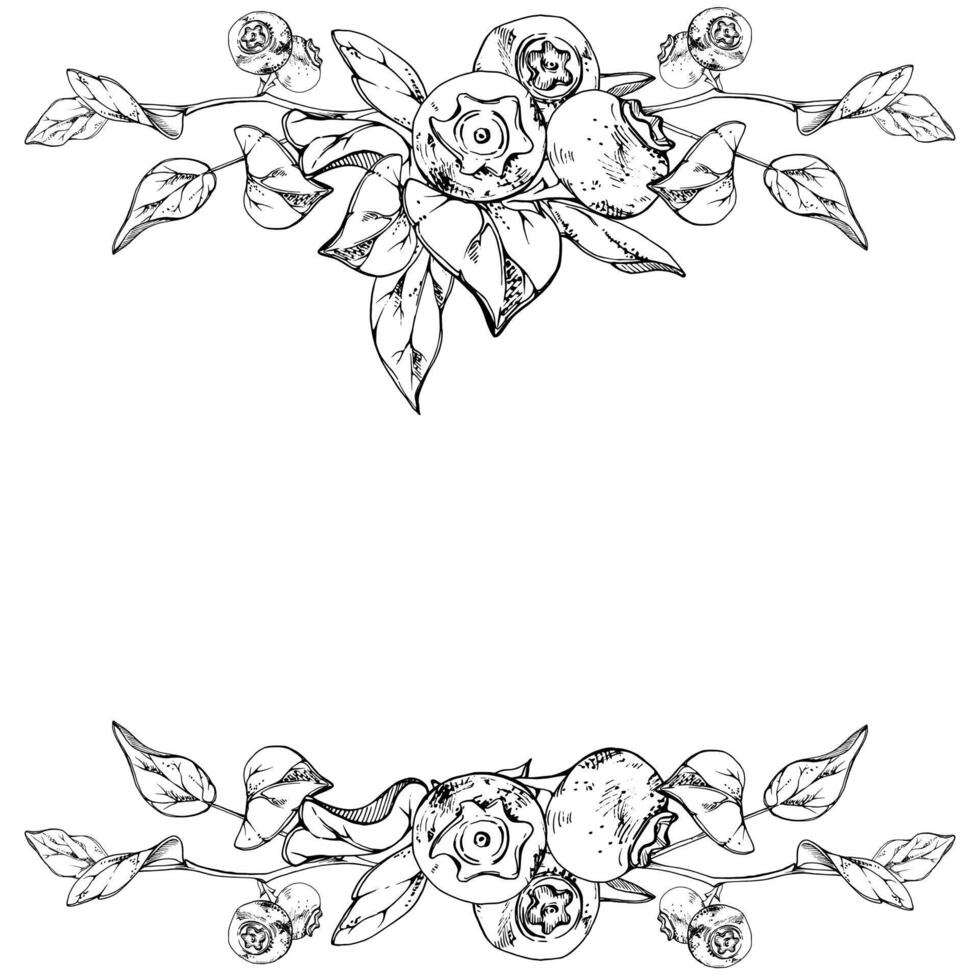 Blueberry blackberry bunch with plant leaves on branch, hand drawn in ink , ripe forest berry. Isolated botanical illustration garland frame, for restaurant, cafe menu, wedding, farmers market vector
