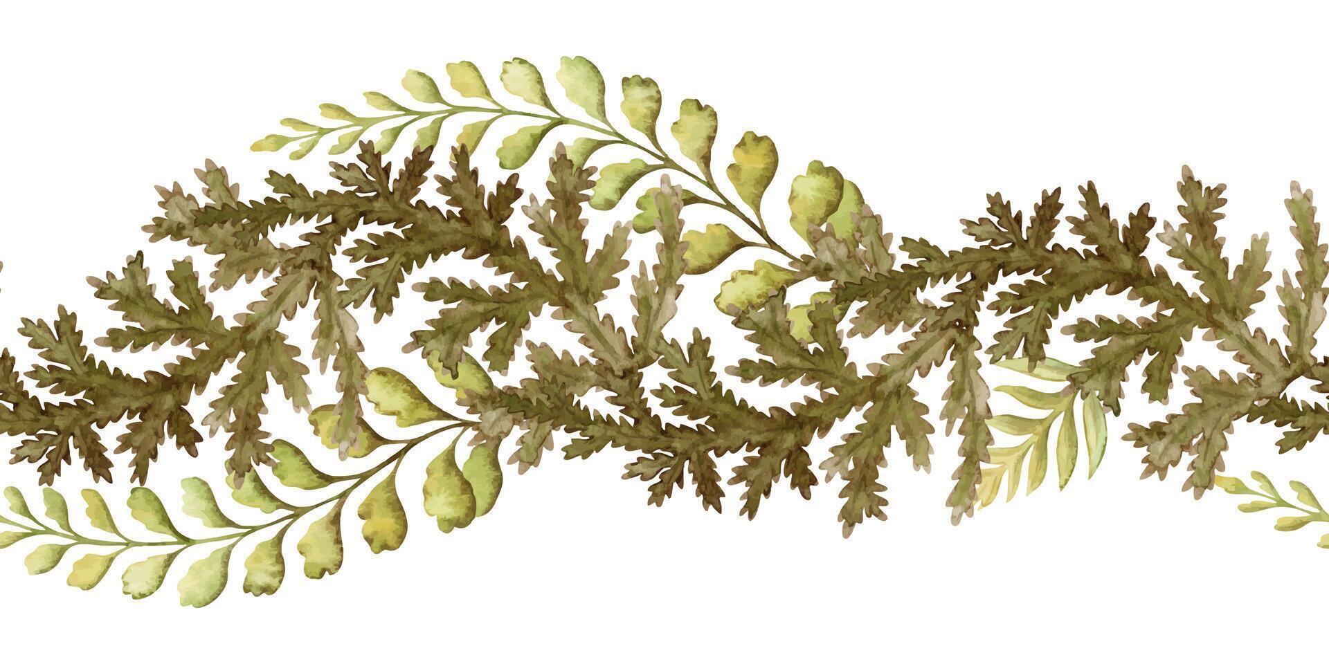 Fern leaf curved seamless border in the brown and green tone. Hand drawn watercolor botanical element with textured foliage. Perfect for the use of ecological material and sustainable designs. vector