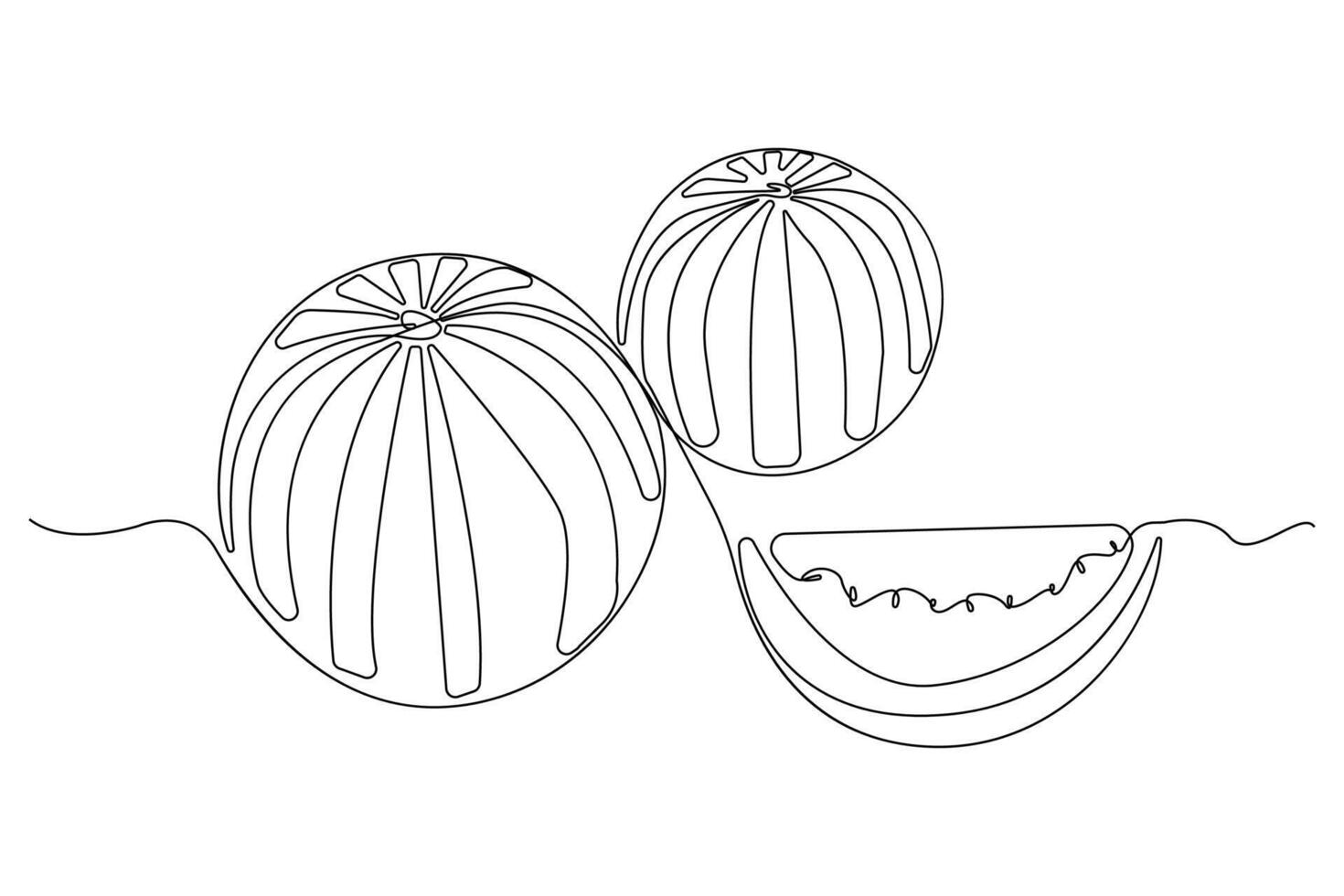 Watermelons continuous line art drawing. Watermelon fruit linear icon . vector