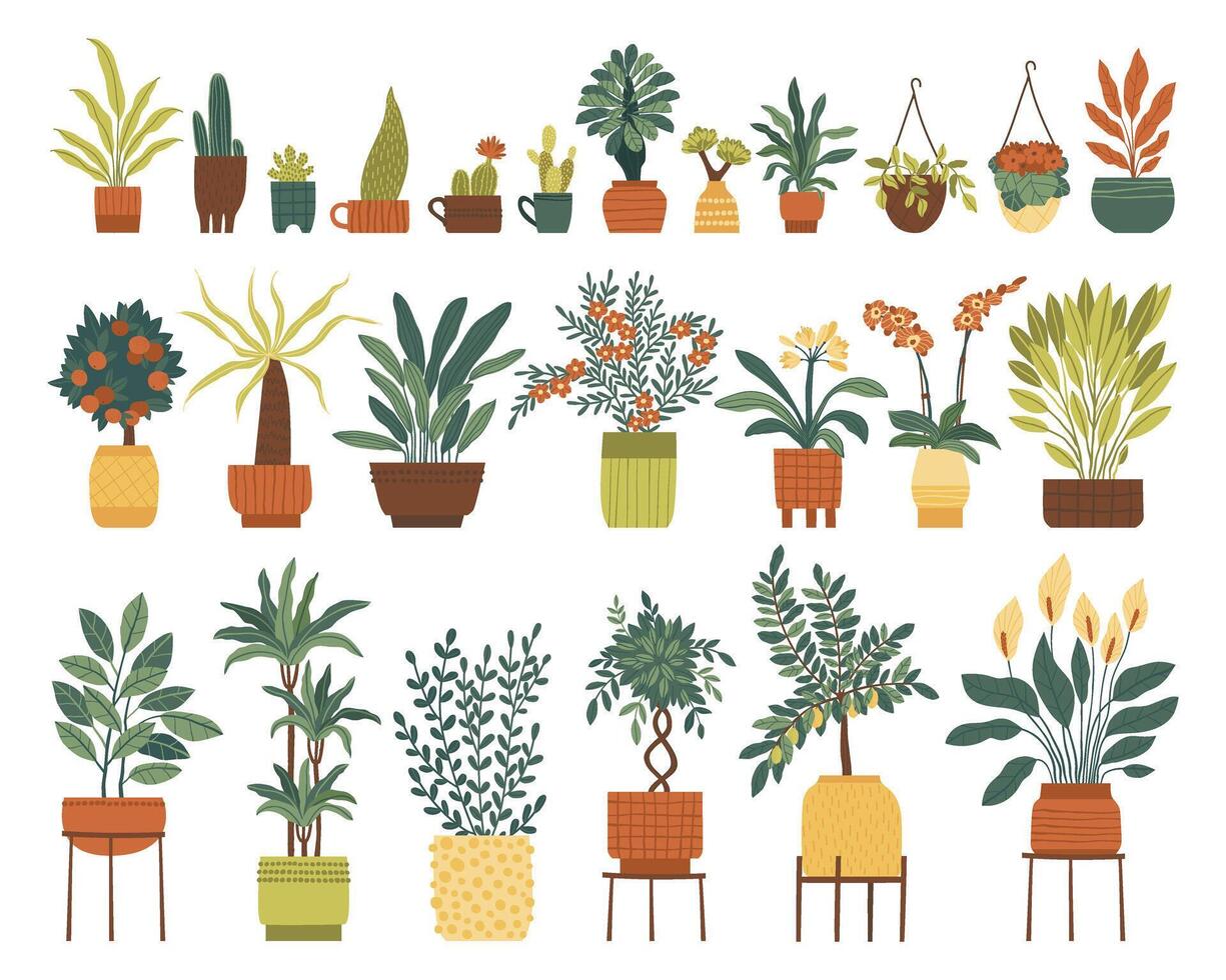 Set of indoor plants in different pots vector