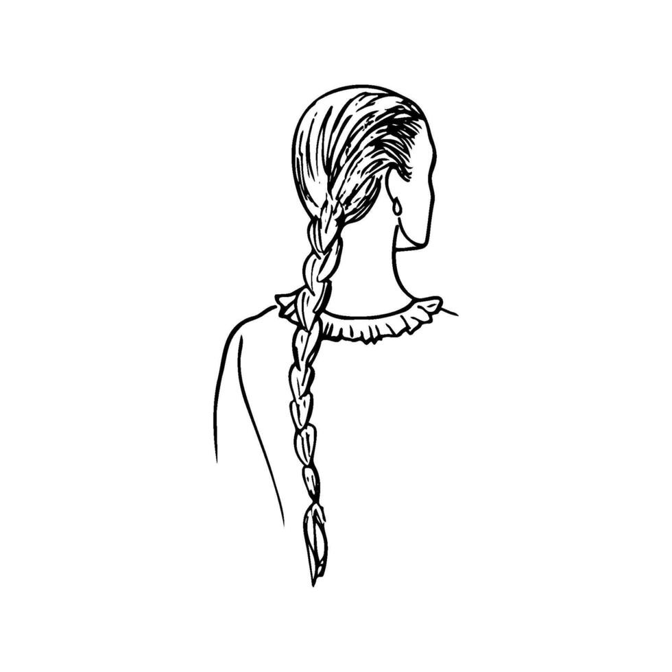 portrait of adult woman with long braid view from back - hand drawn line art vector