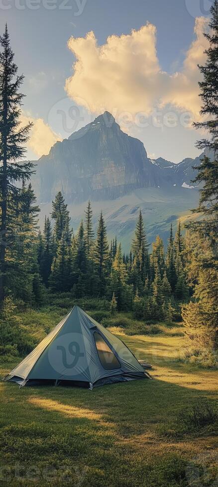 a green tent in grass surrounded by pine trees photo