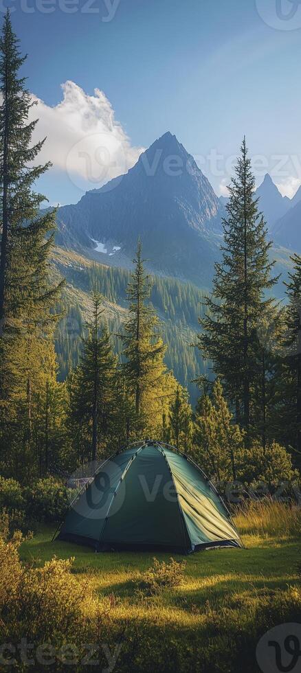 green tent in grass surrounded by trees photo