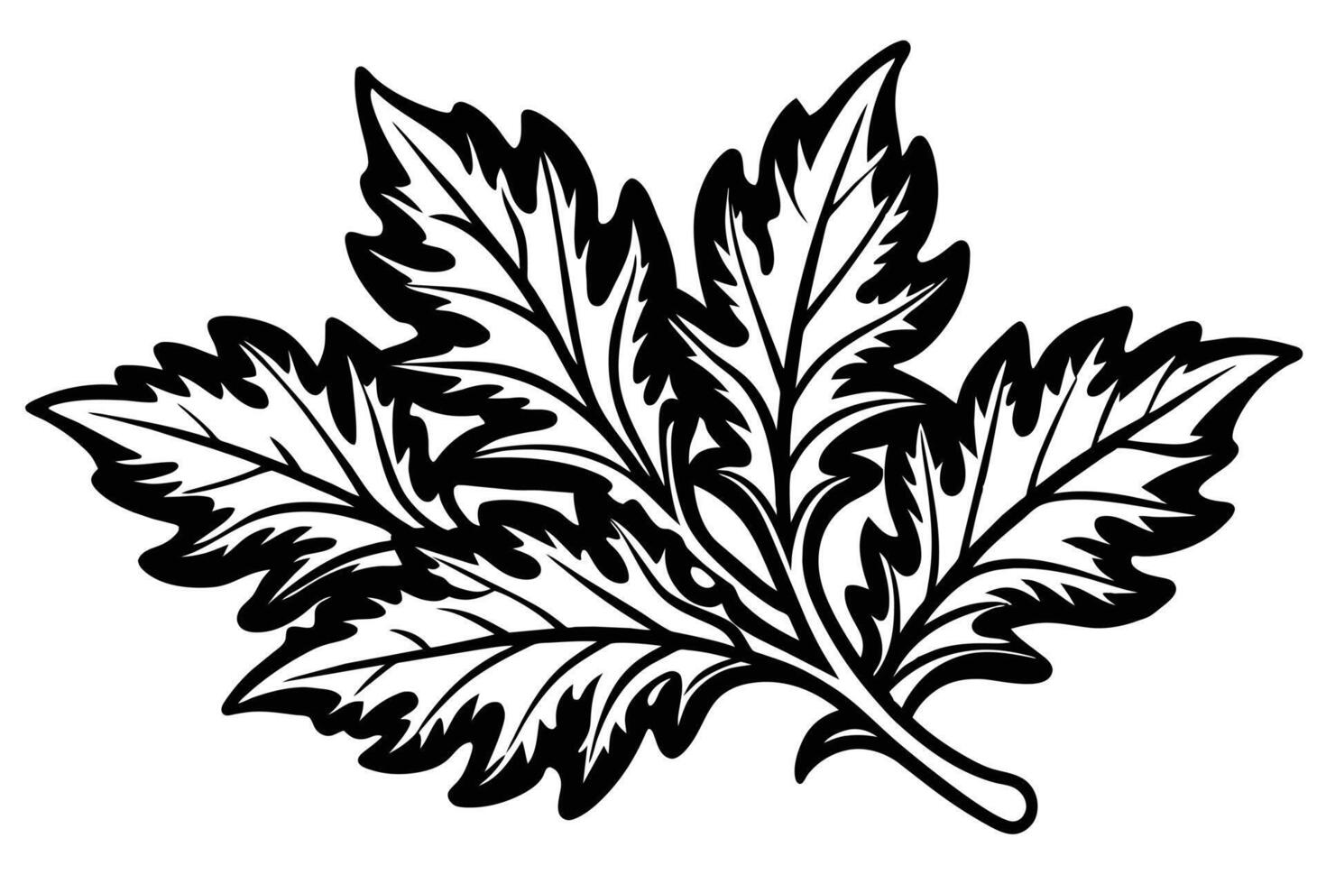 Ornate Leaf Design in Black and White vector