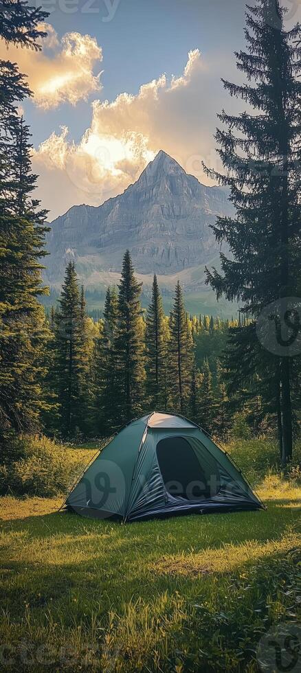 green tent surrounded by pine trees photo