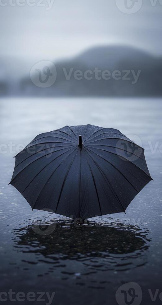 umbrella with dark blue and black colors in the water photo
