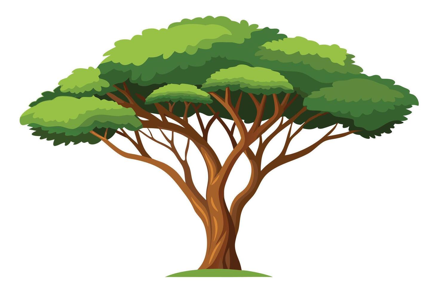 illustration of a lush, full-bodied tree. vector