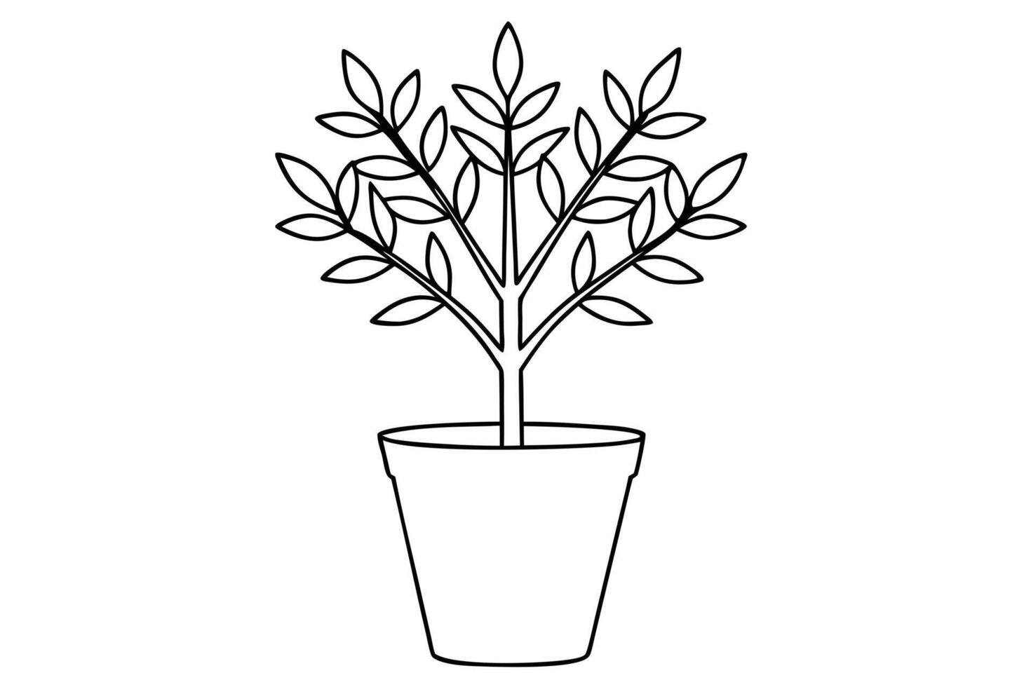 Line Drawing of a Bonsai Tree in a Pot vector