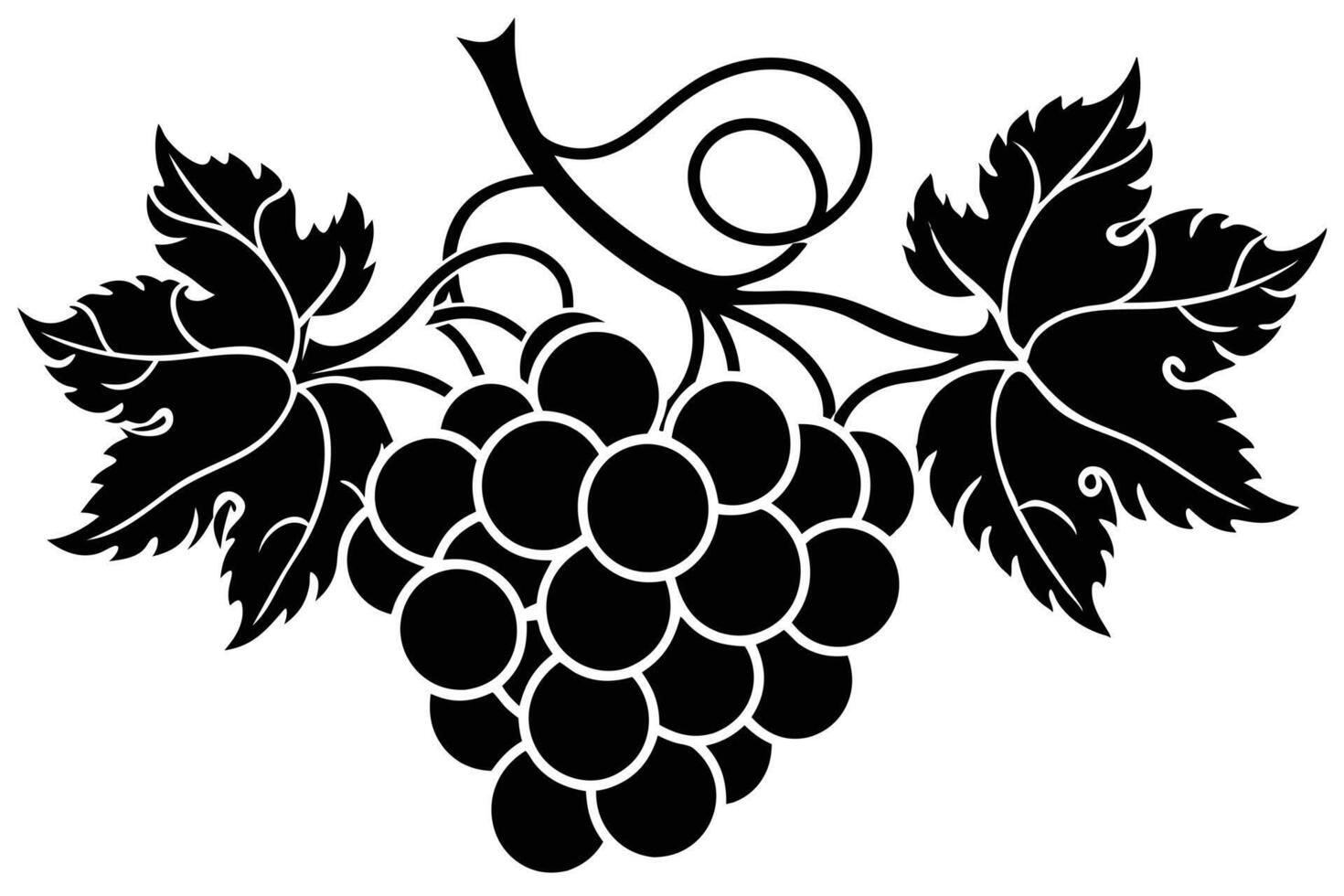A Black and White Grapevine Design vector
