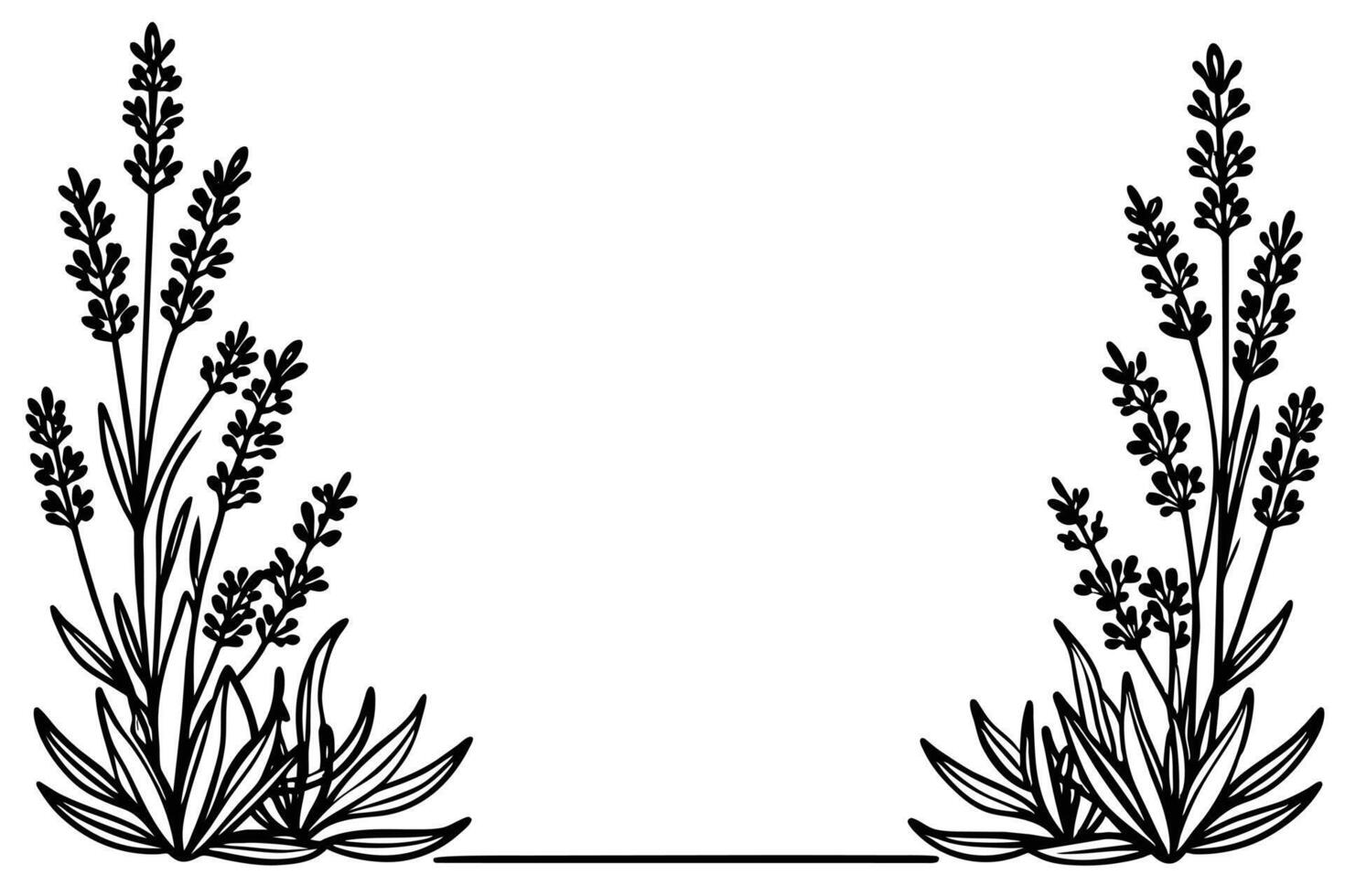A Lavender Illustration for Design Projects vector