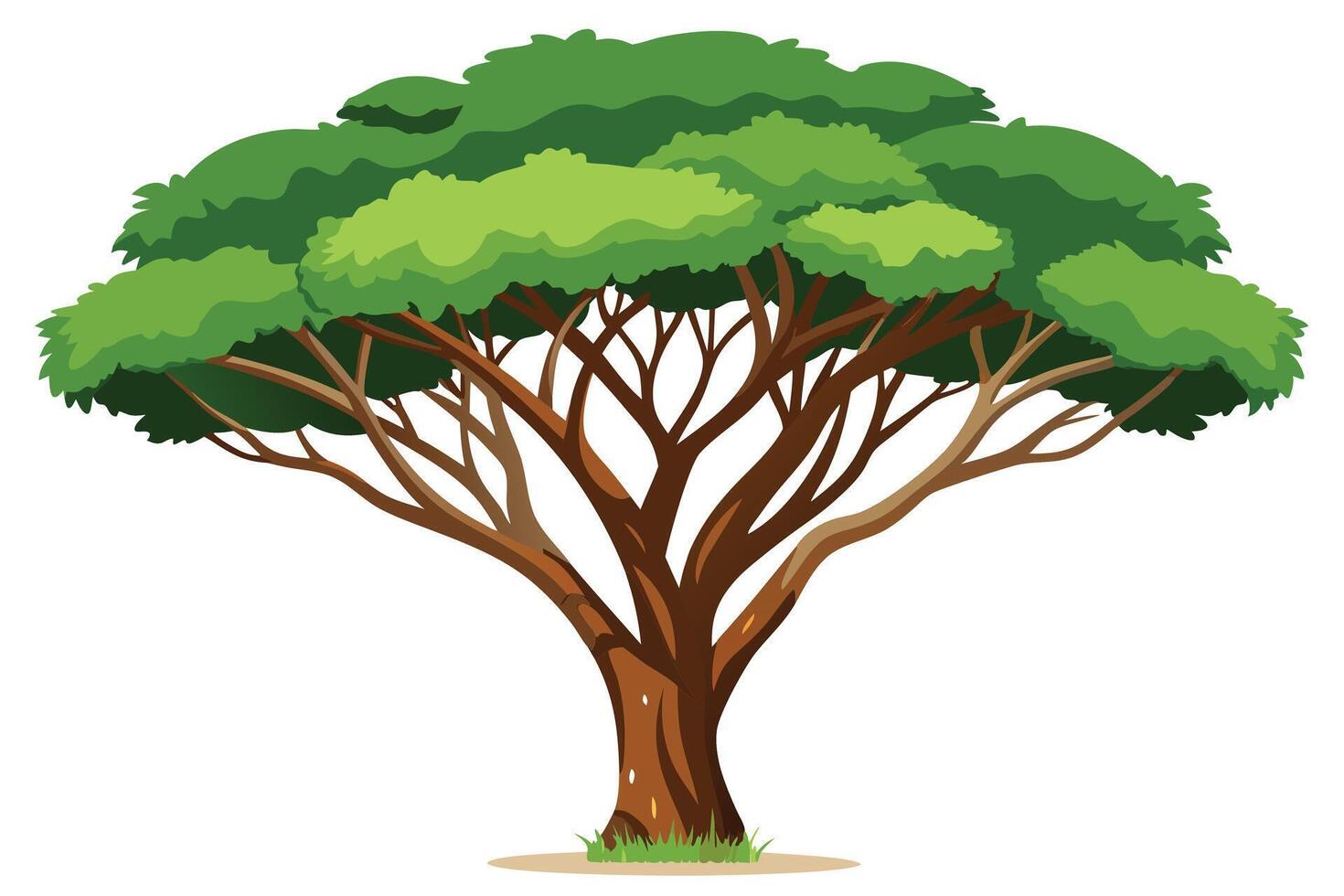 A lush, full-bodied tree. vector