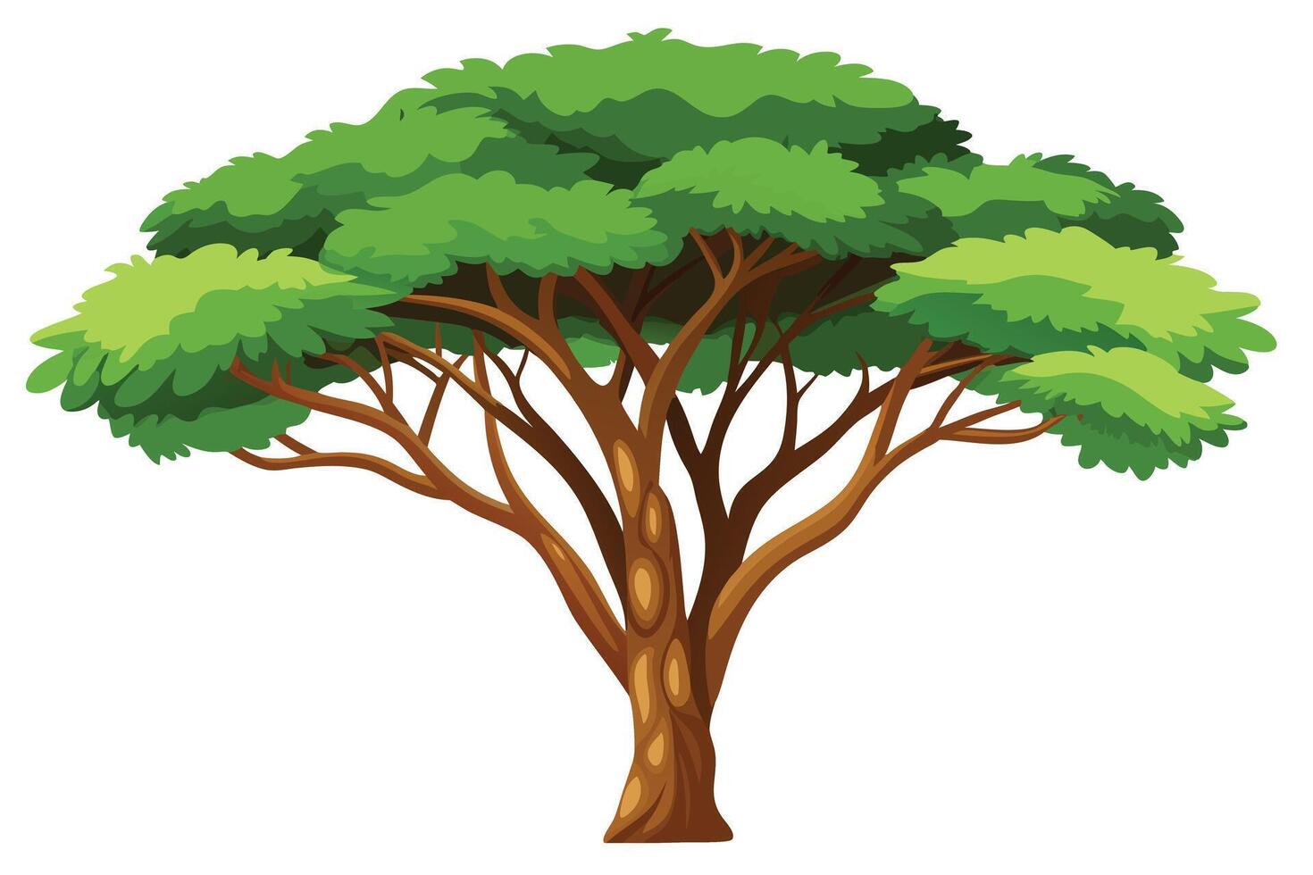 A Vibrant illustration of a lush, full-bodied tree. vector