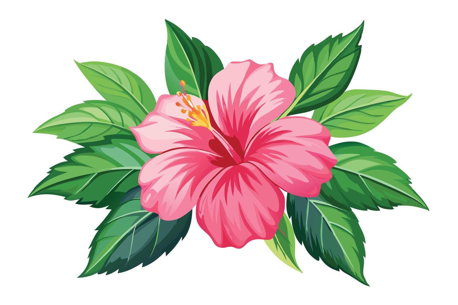 Pink Hibiscus Flower Bouquet Illustration vector