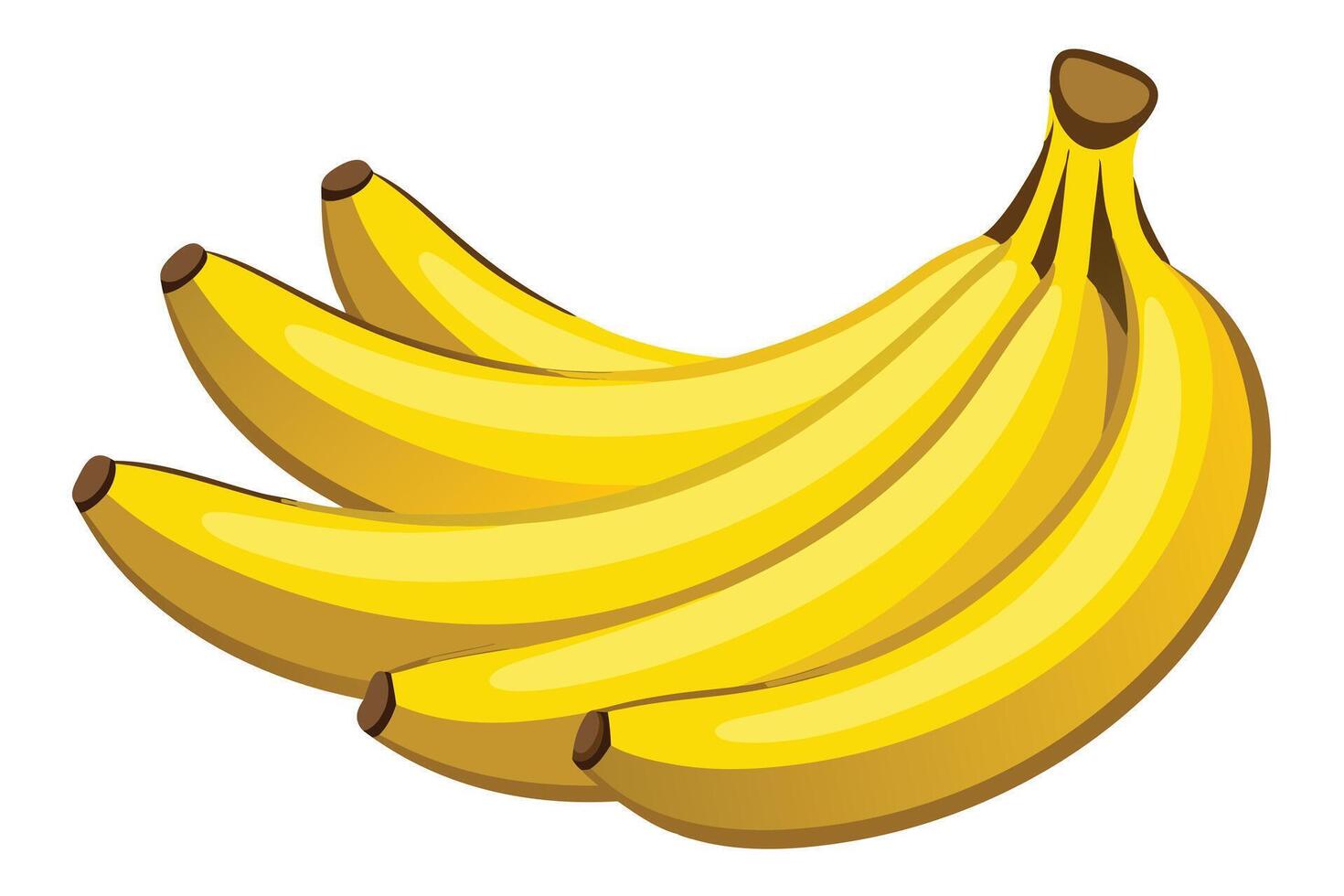 Bananas against a plain background. vector