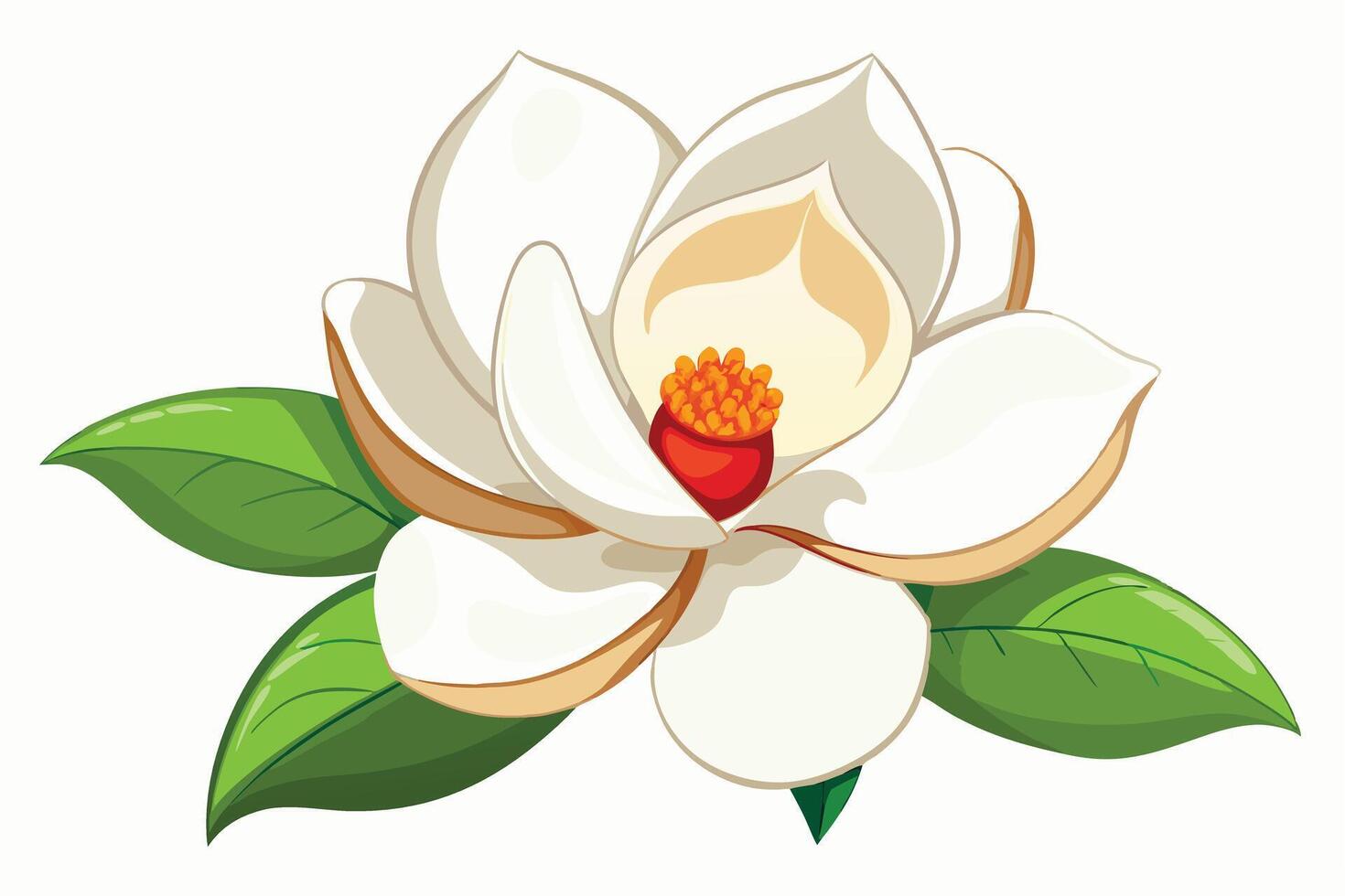 Beautiful White Magnolia Flower in Full Bloom vector