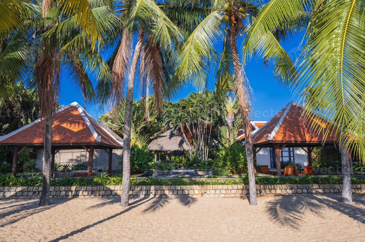Villa bungalow hotel on sandy beach with palm trees by the sea in summer in Asia photo