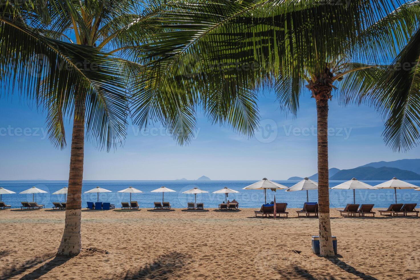 Beach umbrellas with sun beds on sandy beach with palm trees by sea at a tropical resort in summer day in Asia photo