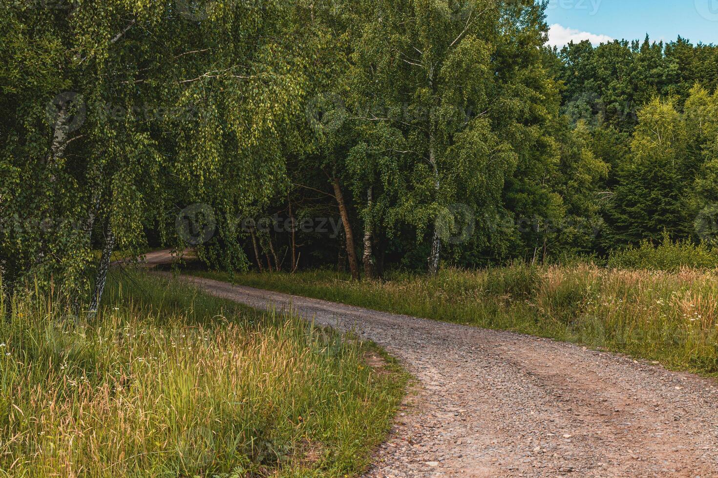 Curved dirt path through lush greenery on a sunny day in nature photo
