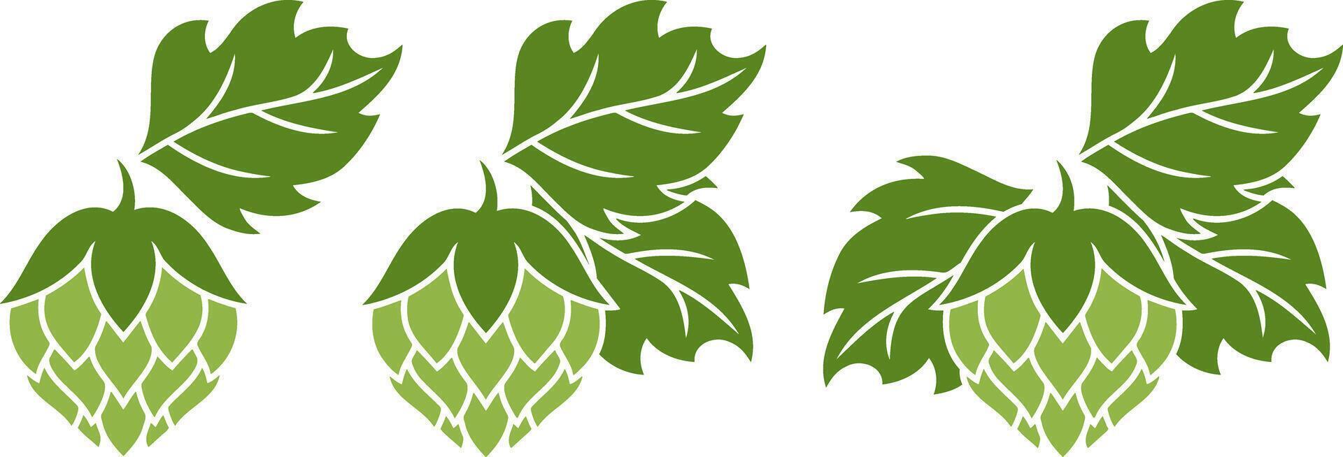 Hop cone set icon Design element for restaurant menu craft beer pub brewery collection vector