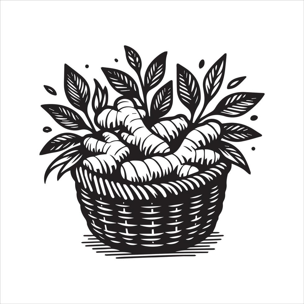 basket of Ginger vector
