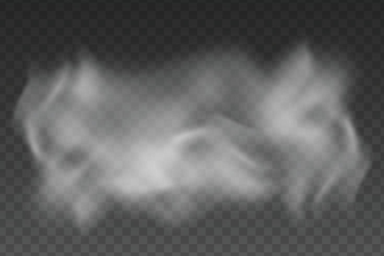 Fog or smoke isolated transparent special effect background vector