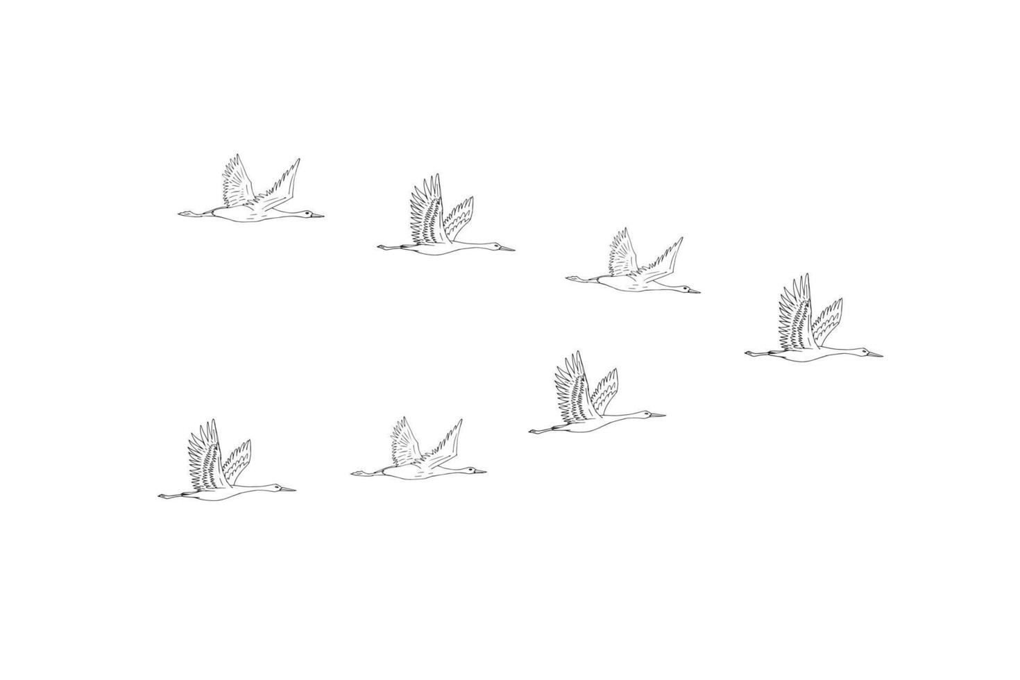 Hand drawn sketch flying cranes birds flock vector