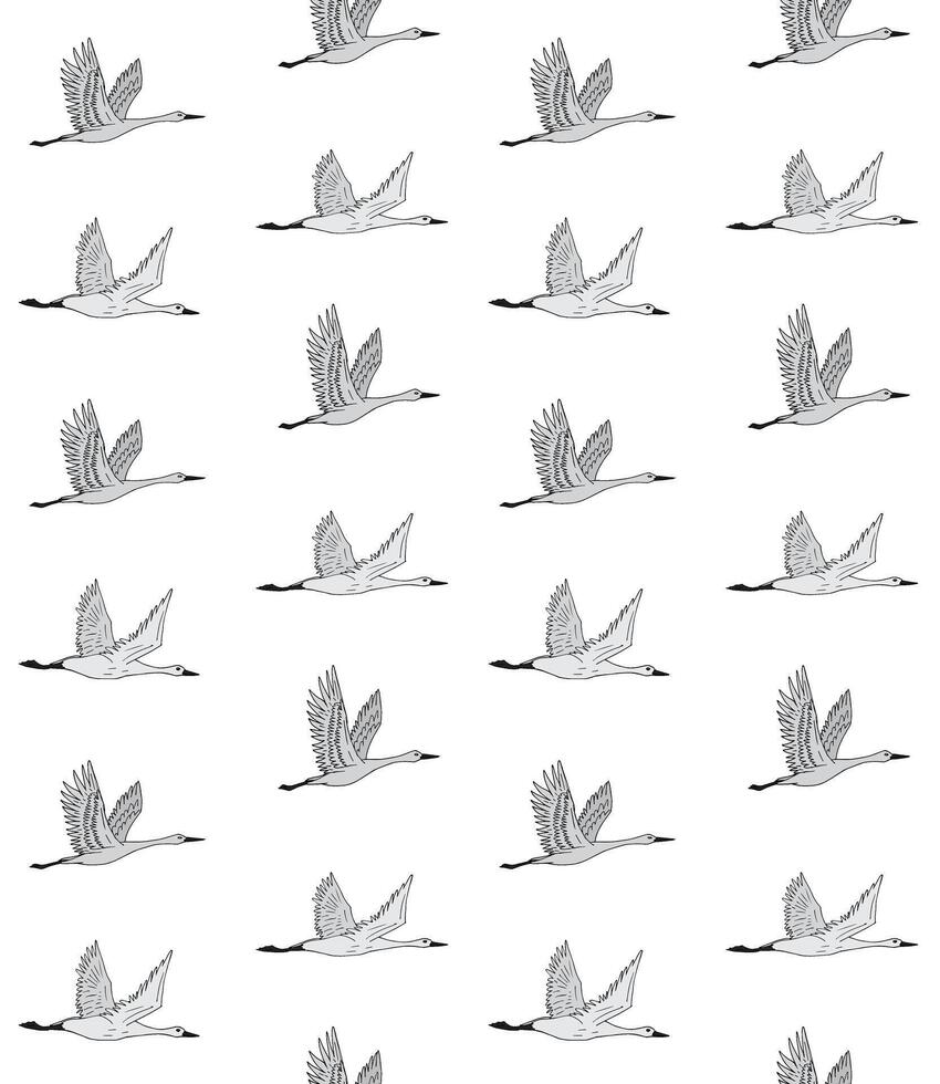 Seamless pattern of flying crane vector