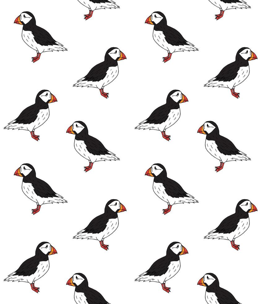 Seamless pattern of color sketch puffin vector