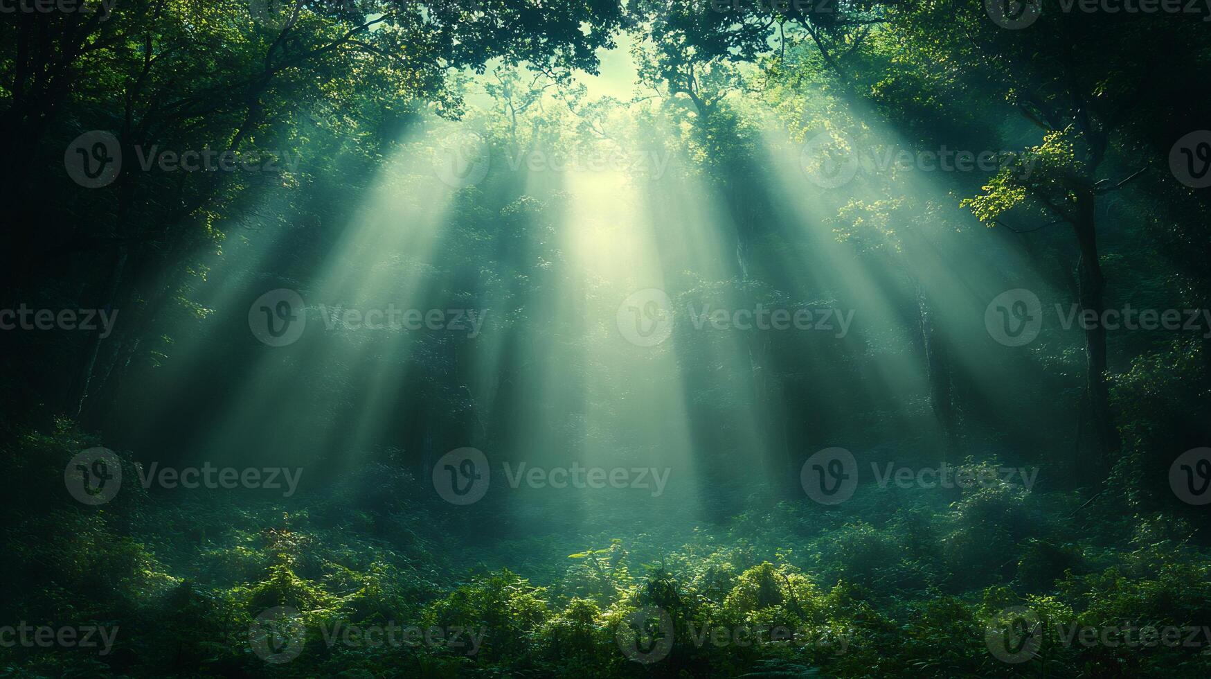 Mystical forest scene dawn with sunbeams piercing through a canopy of towering trees creating a dreamlike misty woodland ambiance photo