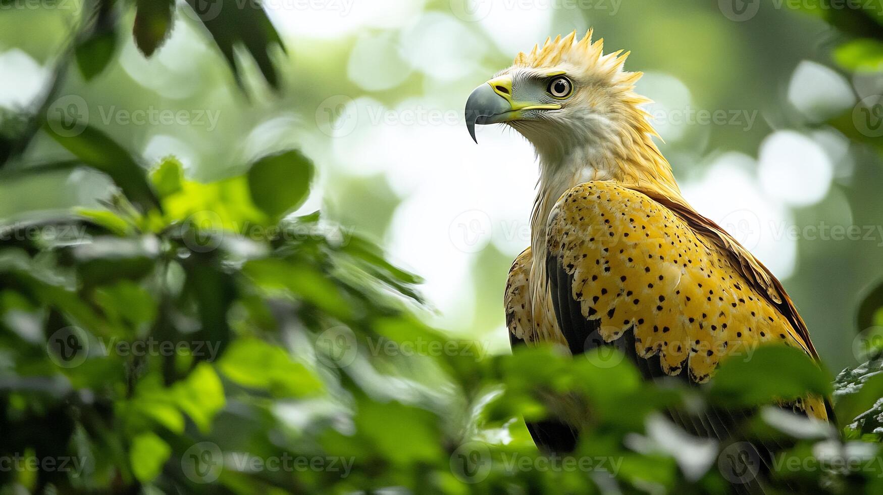 Harpy eagle perched high the jungle canopy its sharp beak and fierce gaze framed by vibrant green leaves captured with a telephoto lens for powerful subject focus photo