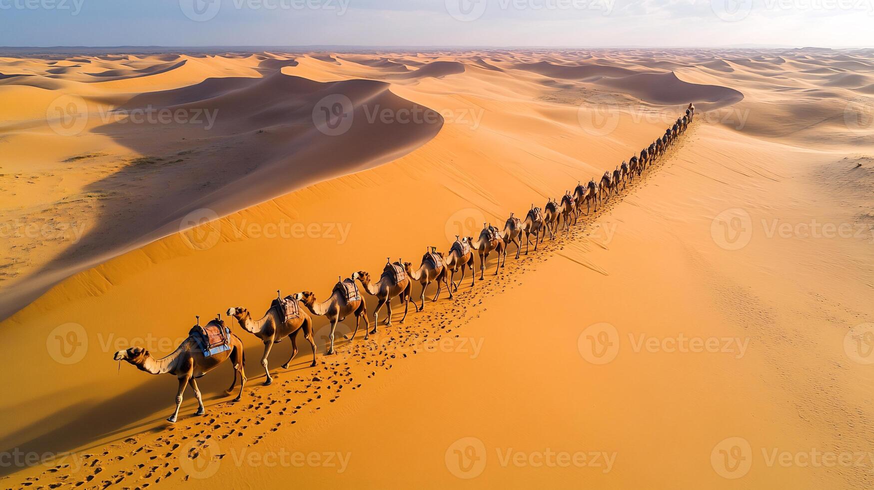 Aerial shot of caravan of camels walking in a line through undulating desert dunes their footprints trailing behind under warm afternoon light captured with a drone camera for dynamic composition photo
