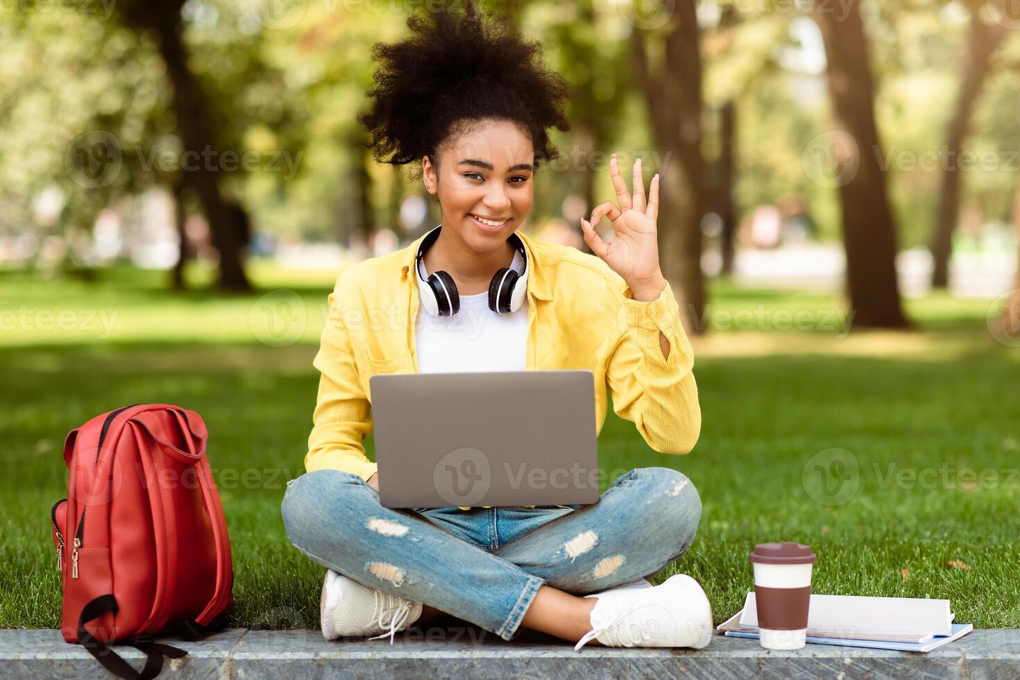Black Student Girl Using Laptop Gesturing OK Symbol Approving E-Learning Sitting In Green Park Outdoor, Smiling To Camera. Online Learning And Remote Education. Everything Is Okay Concept photo