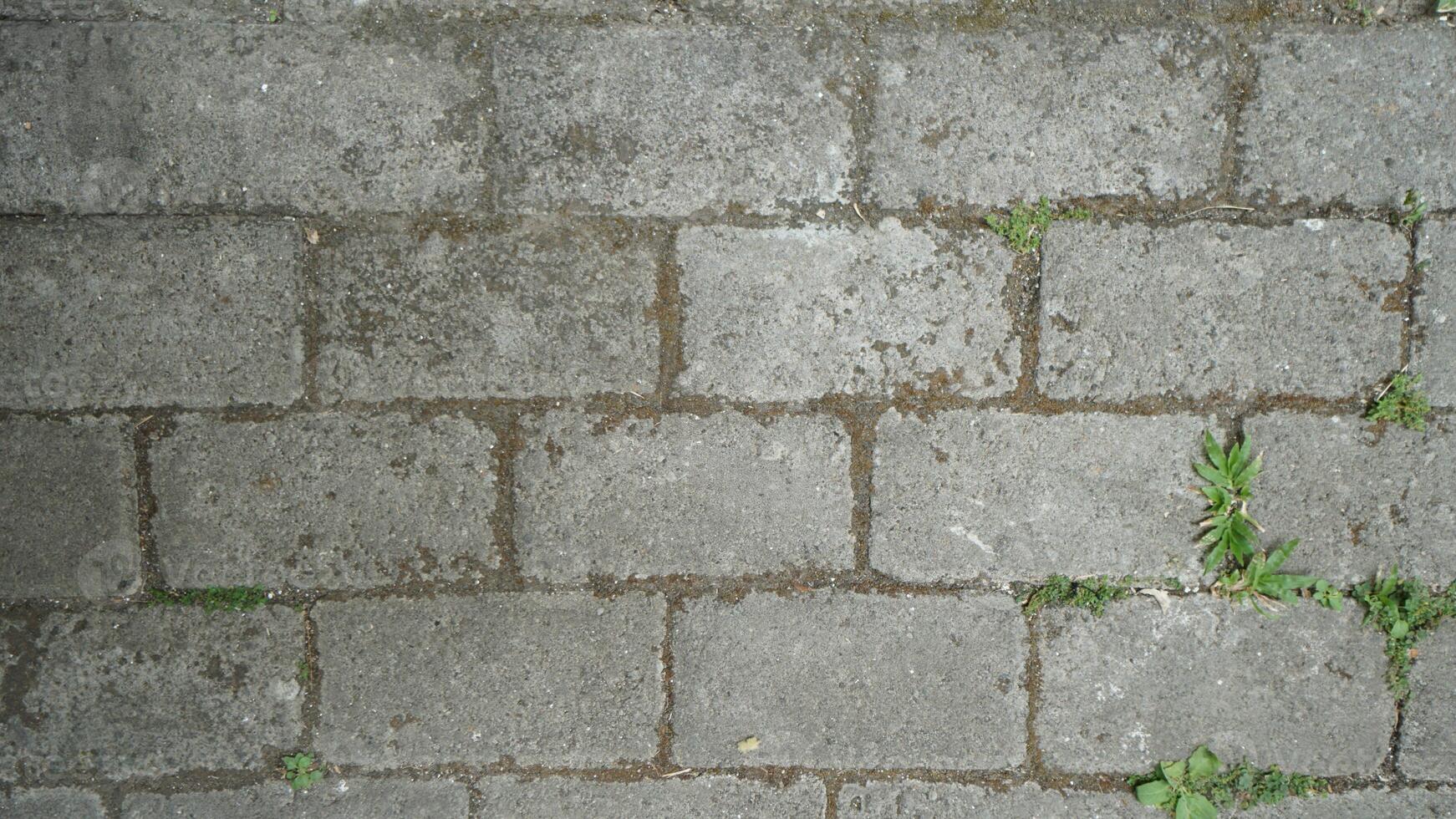 paving material texture pattern photo