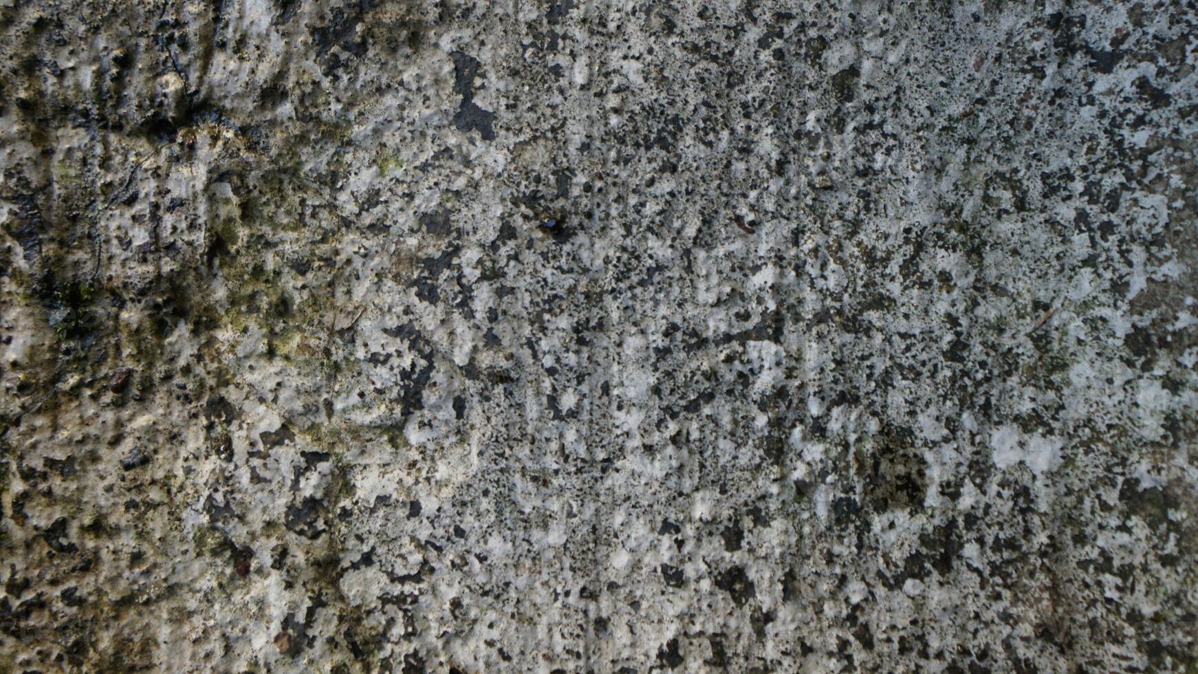concrete cement texture pattern material photo