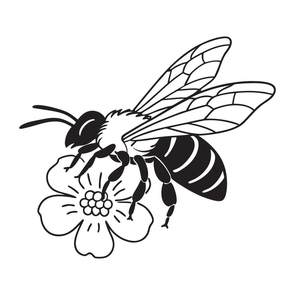 Honey Bee icon design vector