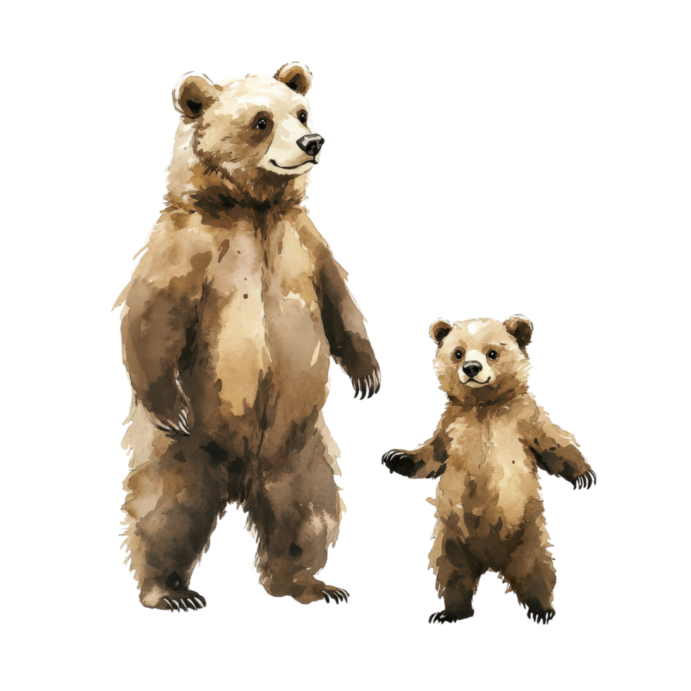 pair of watercolor bears, one standing on hind legs, exuding charm and playfulness. adult bear showcases warm, inviting expression, while cub appears curious and lively png